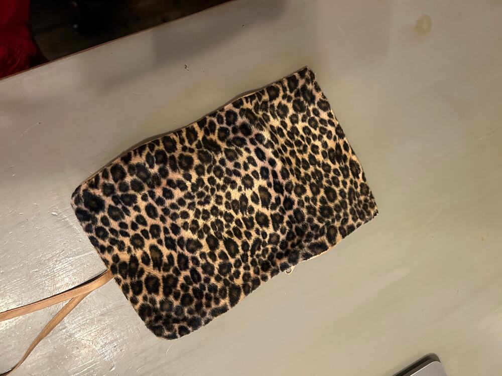 Leopard Print Small Jewelry Travel Case
